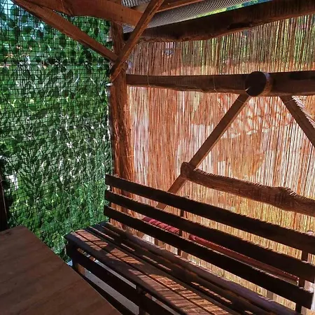 Apartment Retro Ii Papratnica